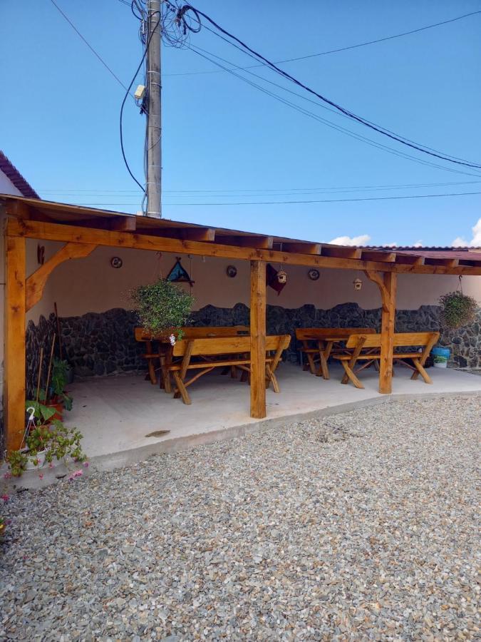 Casa Loredana Cîrţişoara 외부 사진