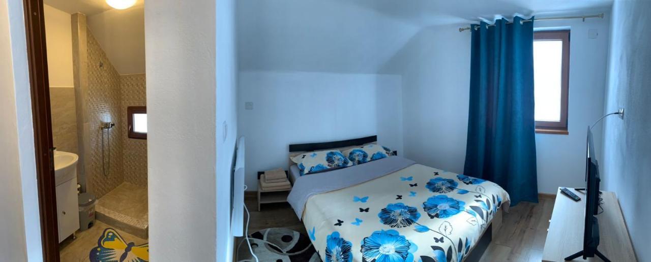 Casa Loredana Cîrţişoara 외부 사진