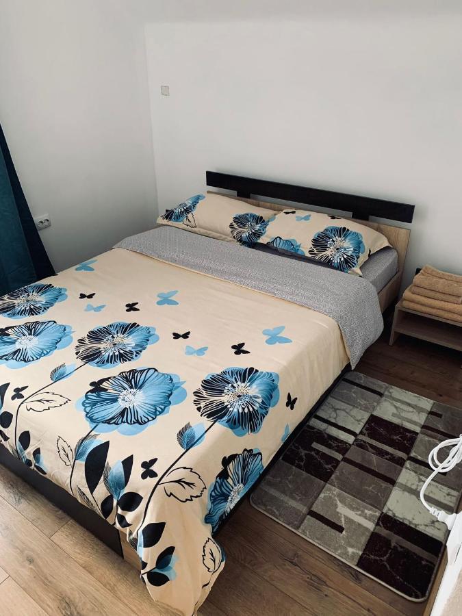 Casa Loredana Cîrţişoara 외부 사진