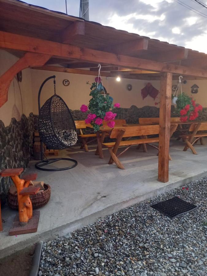 Casa Loredana Cîrţişoara 외부 사진
